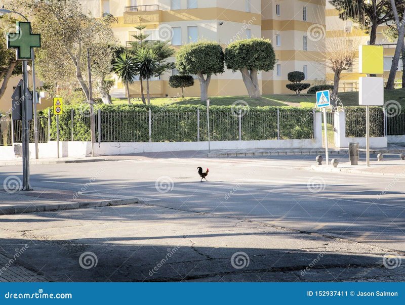 Chicken road in Spain